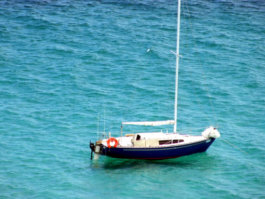 Emu Bay