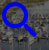 Trailer sailers.... all boats are welcome at Glenelg Yacht Club